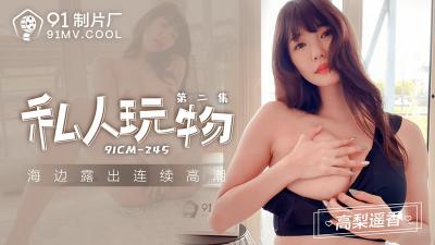 91CM-245 私人玩物 第二集-高梨遥香【六月婷婷缴清综合在线】